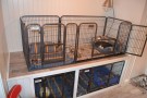 Orginale Crufts grinder thumbnail