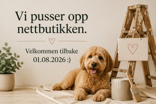 Hundeutstyr på nett